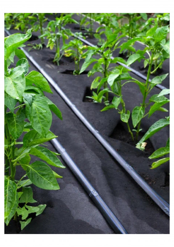 Укрывной материал №60 3,2х10м СПАНБОНД черный